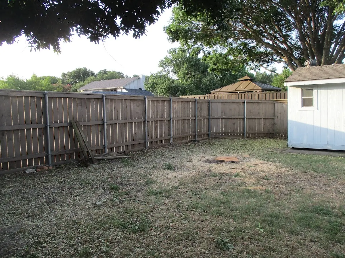 Cleared yard after professional tree removal in Old Greenwich